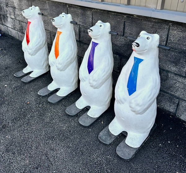Ice skate aids for sale