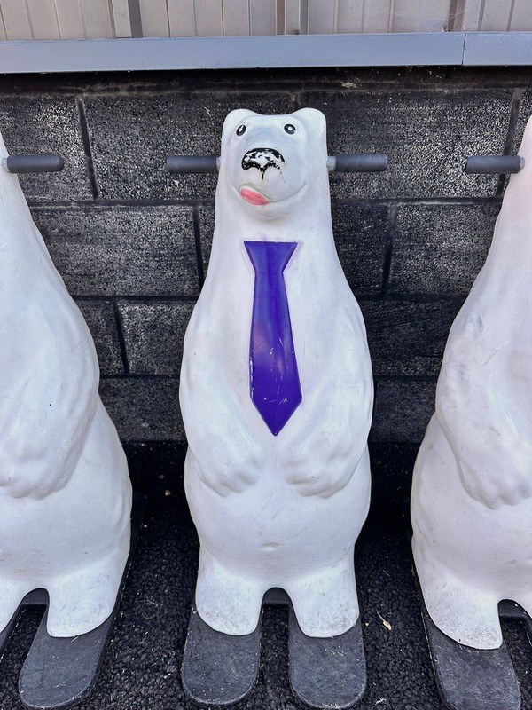 Ice skate bear for sale