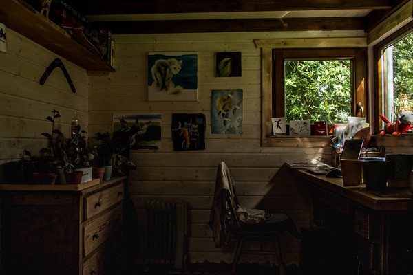 Secondhand Tiny House For Sale