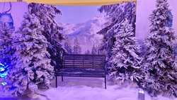 Secondhand Alpine Ski Fabric Graphic Backgrounds For Sale