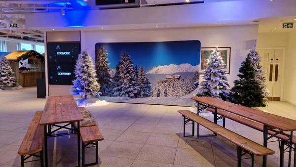 Secondhand Alpine Ski Fabric Graphic Backgrounds For Sale