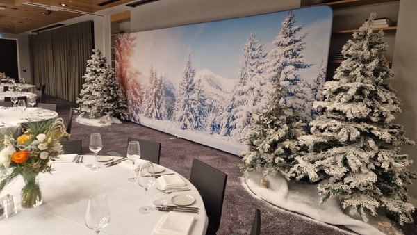 Secondhand Alpine Ski Fabric Graphic Backgrounds For Sale