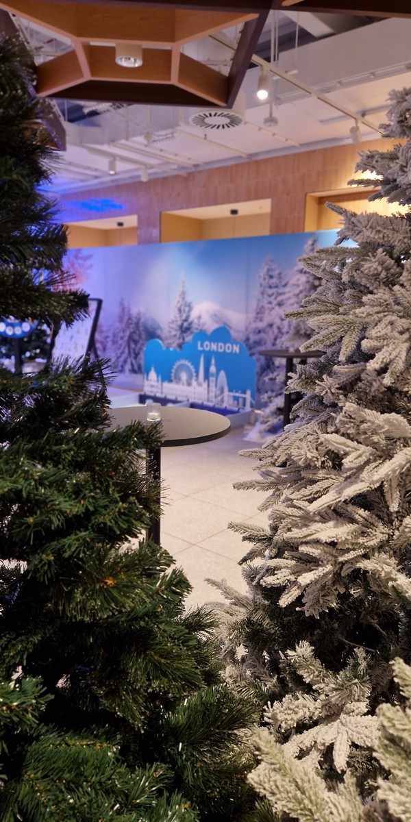 Secondhand Christmas Trees For Sale