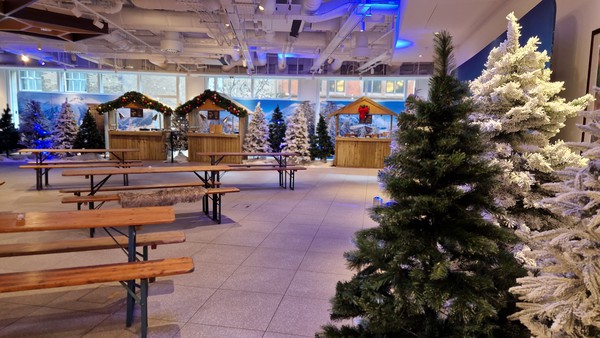 Secondhand Christmas Trees For Sale