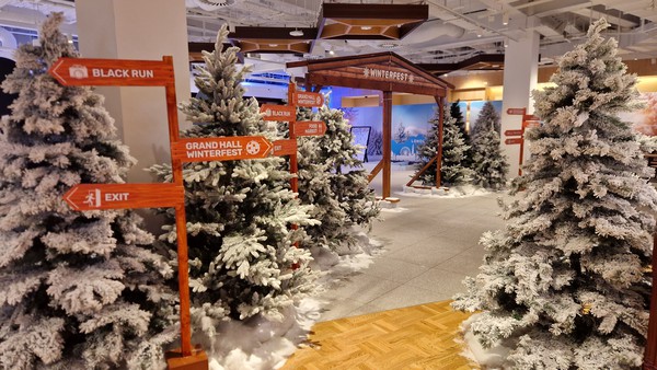 Secondhand Christmas Trees For Sale