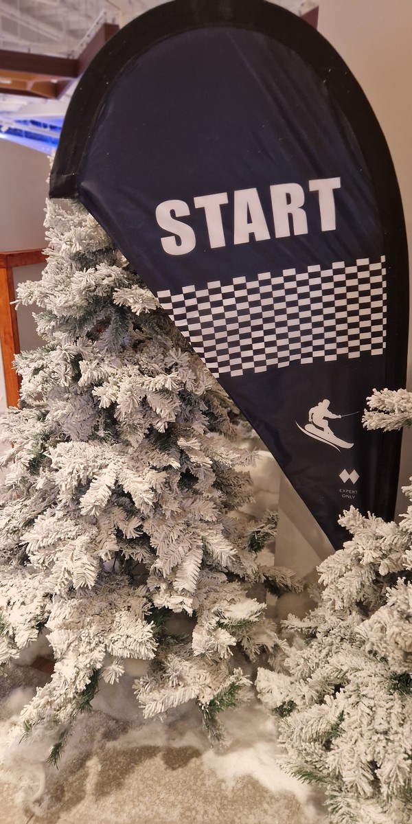 Secondhand Christmas Trees For Sale