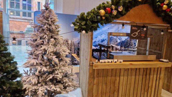 Secondhand Christmas Trees For Sale