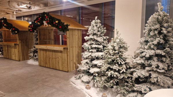 Secondhand Christmas Trees For Sale