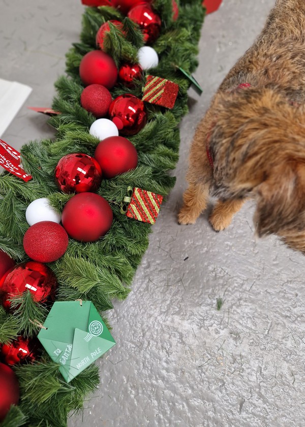 Secondhand Naughty or Nice Window Garlands For Sale