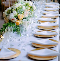 White Polyester Napkins White Polyester Napkins