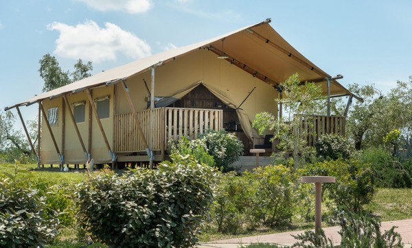 Luxury Safari for sale UK delivery Luxury Safari for sale UK delivery