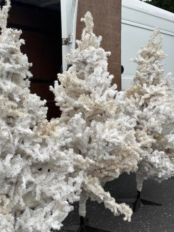 36x Christmas Trees 36x Christmas Trees