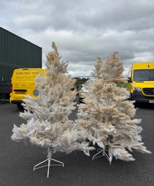 Secondhand 36x Christmas Trees Secondhand 36x Christmas Trees