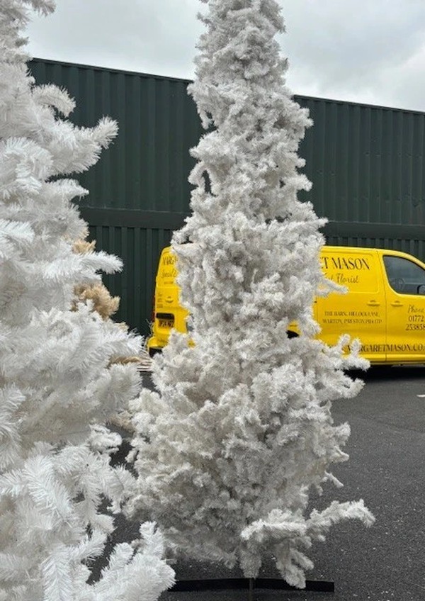 Used 36x Christmas Trees Used 36x Christmas Trees