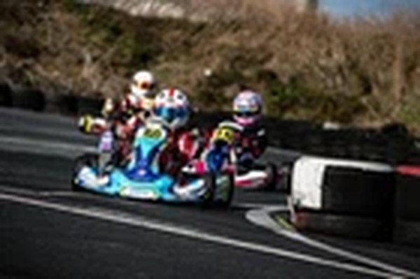 Kart for sale Paroline Opportunity