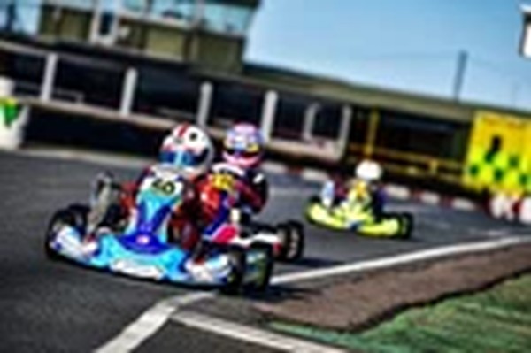 Winning kart for sale