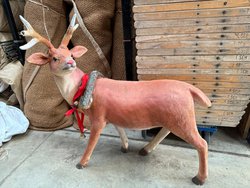 Secondhand Used Reindeer Prop For Sale