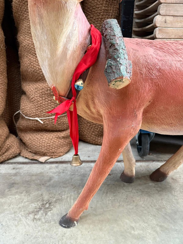 Reindeer Prop For Sale