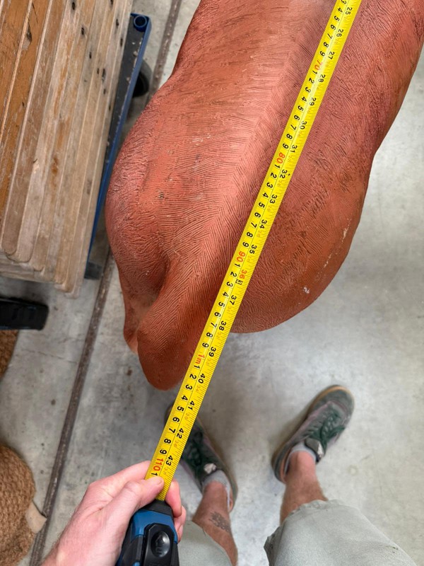 Rudolph Prop For Sale