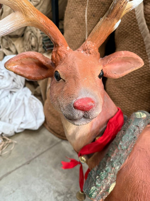 Secondhand Reindeer Prop For Sale