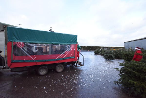 Secondhand Steel Upright and Roof Frame with Trailer Steps and Gate For Sale