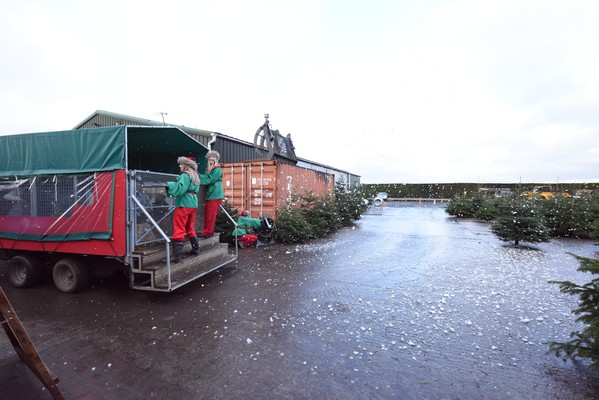 Secondhand Steel Upright and Roof Frame with Trailer Steps and Gate For Sale