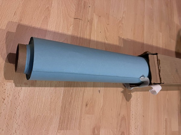 Lobelia photographic backdrop