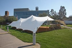 Stretch tent for sale