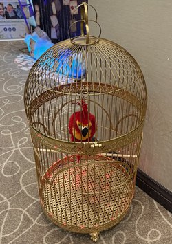 Giant Bird Cages For Sale