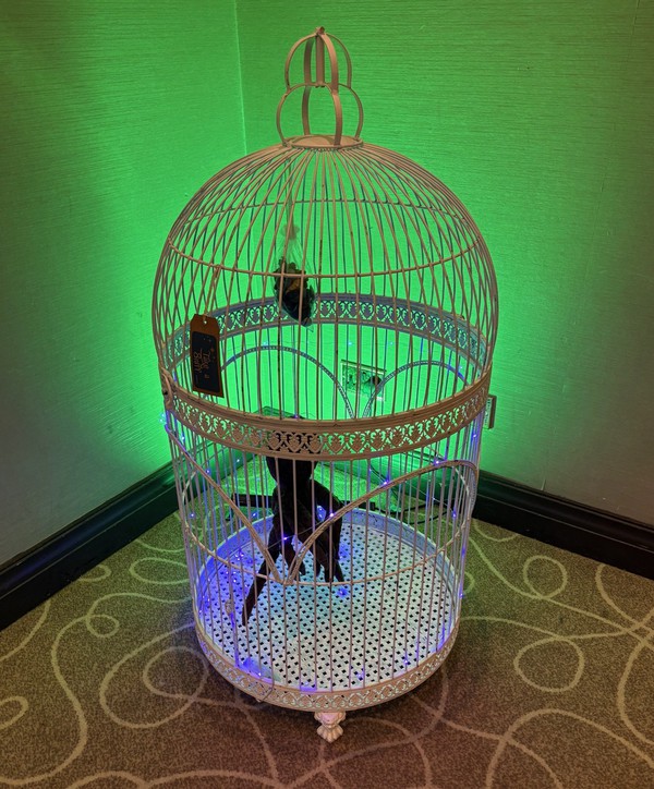 Secondhand Giant Bird Cages