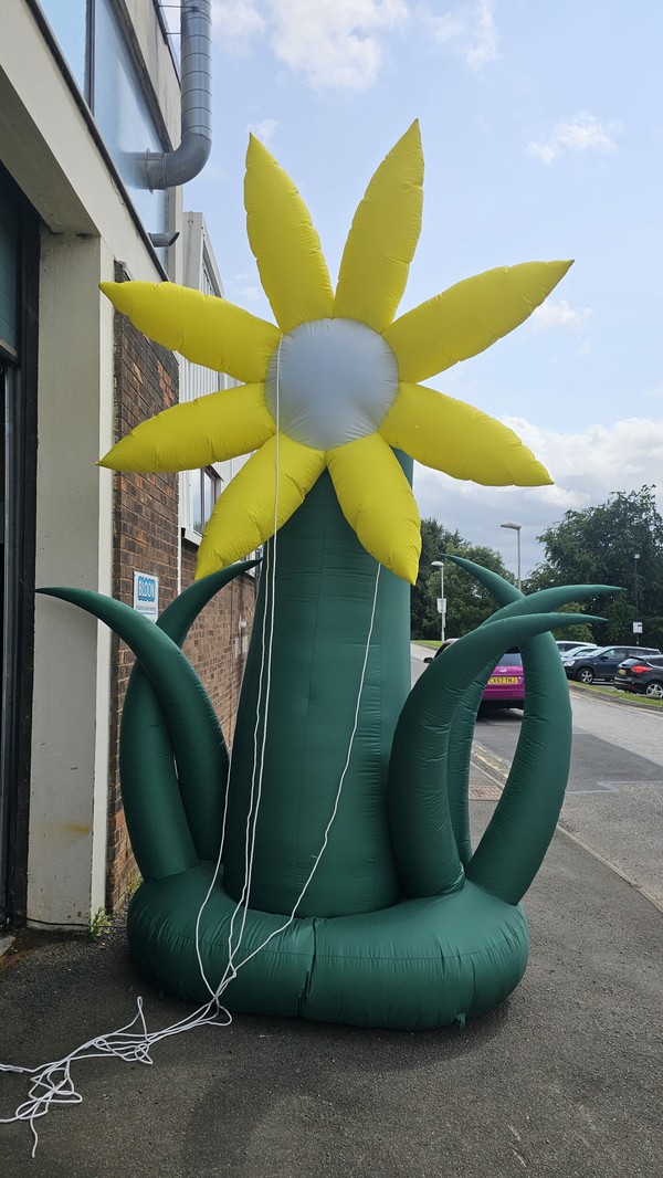 Giant inflatable flower