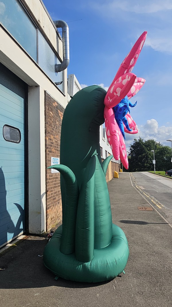 Giant Pink and blue inflatable flower Giant Pink and blue inflatable flower