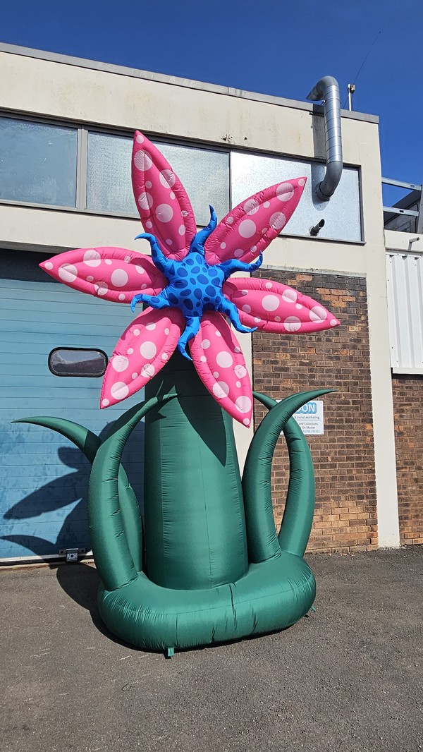 Pink and blue inflatable flower prop Pink and blue inflatable flower prop