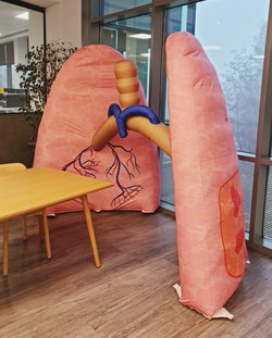 Giant inflatable lungs for sale