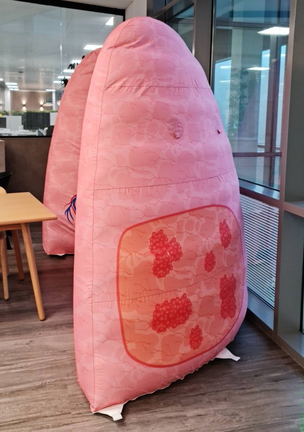 Inflatable lungs for sale