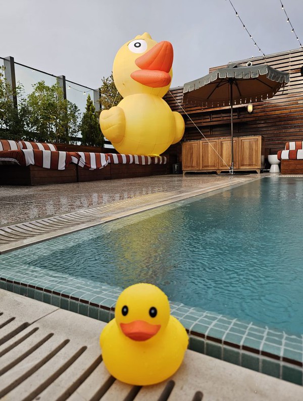 3m Inflatable Duck with Internal Fan and Lighting