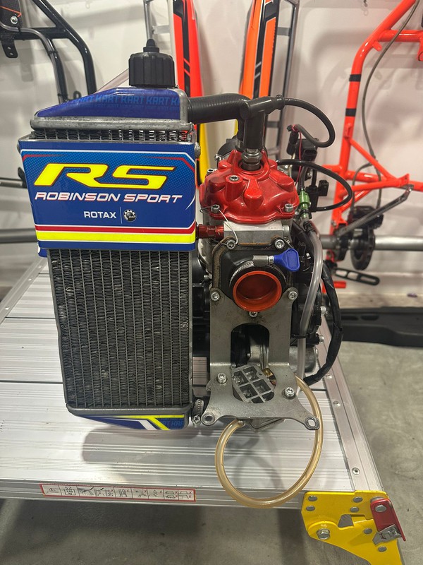 Rotax 125 Senior Engine