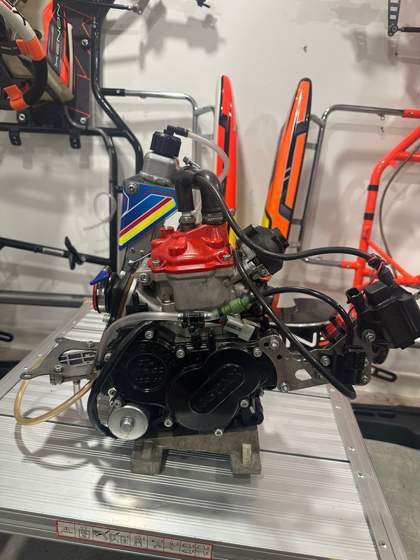 Rotax 125 Senior engine