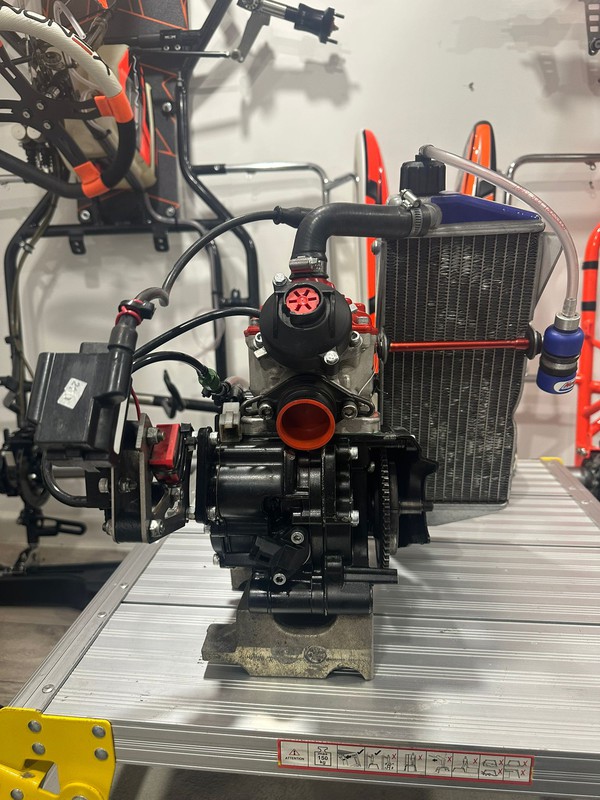 Rotax 125 Senior Engine