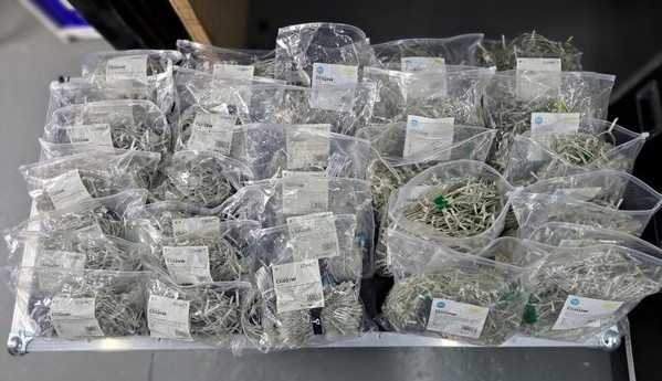 Used Fairy Lights Used Fairy Lights