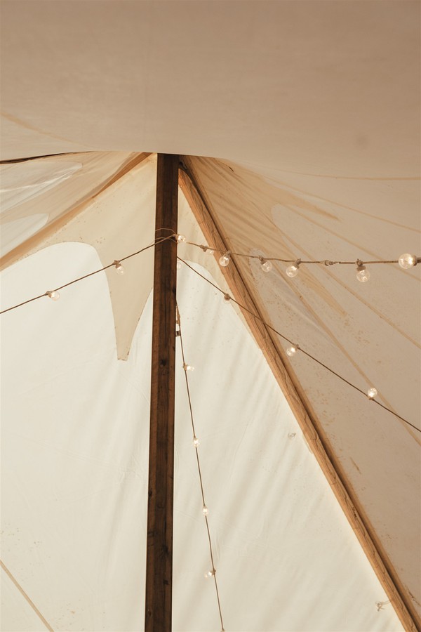 Barkers Celest for sale