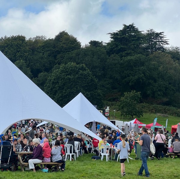 Pair of Starshades Pair of Starshades