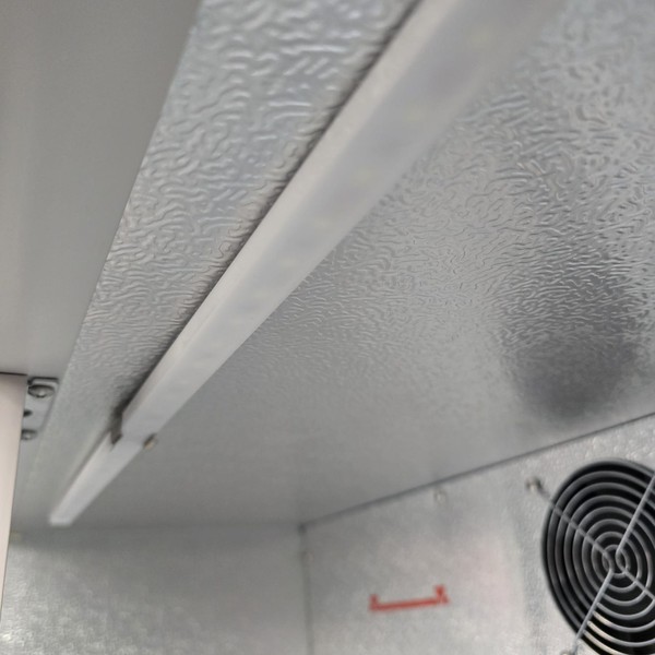 B Grade Polar Back Bar Cooler