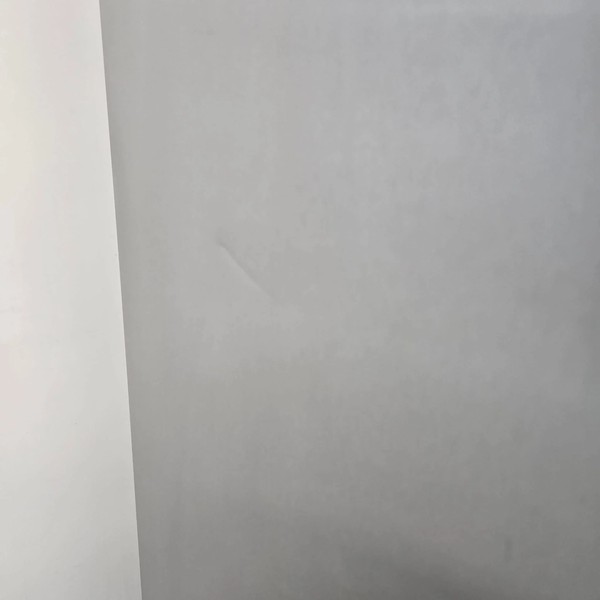 B Grade commercial freezer