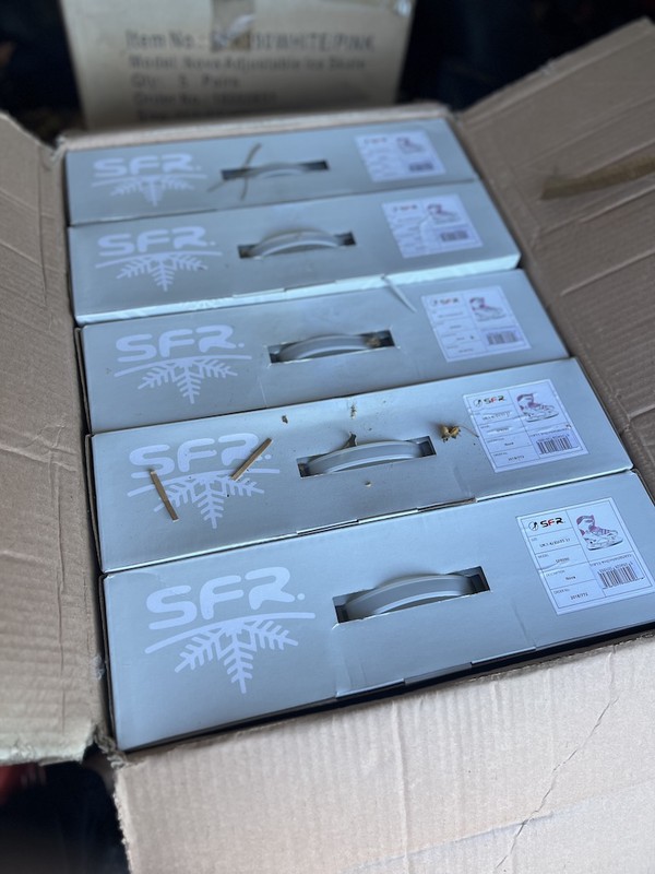 Job Lot Nova Ice Skates