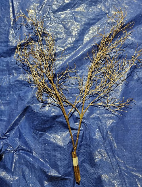 False Gold Willow Branches For Sale