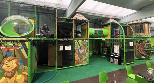 Secondhand Jungle Themed Play Frame For Sale