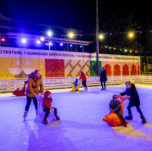 Real Mobile Ice Rink For Sale