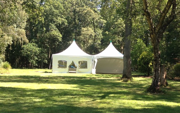 Pagoda marquee company / business for sale