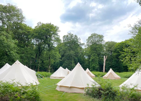 Secondhand Used Full Glamping Business For Sale